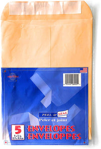 Envelopes Peel and Seal 9*12 (5/pk) PAPER WORLD